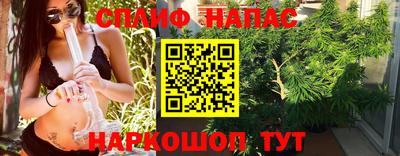 гашик Кандалакша