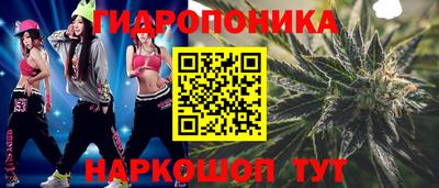 гашик Кандалакша