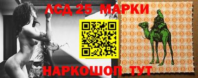 гашик Кандалакша