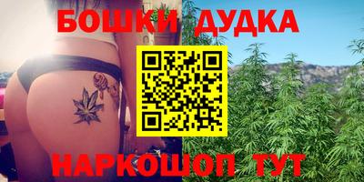 гашик Кандалакша