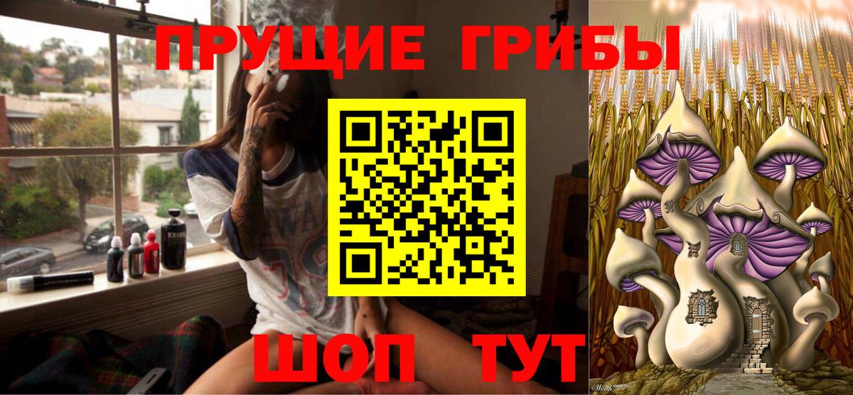 Псилоцибиновые грибы Psilocybine cubensis Ленинск-Кузнецкий